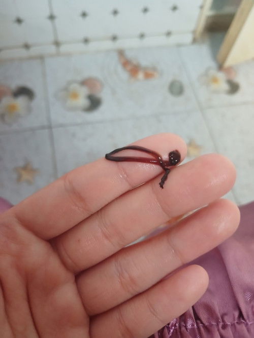 สอบถามหน่อยค่ะ