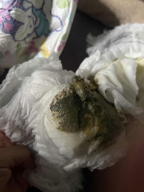 Tanda warna pup kek gini