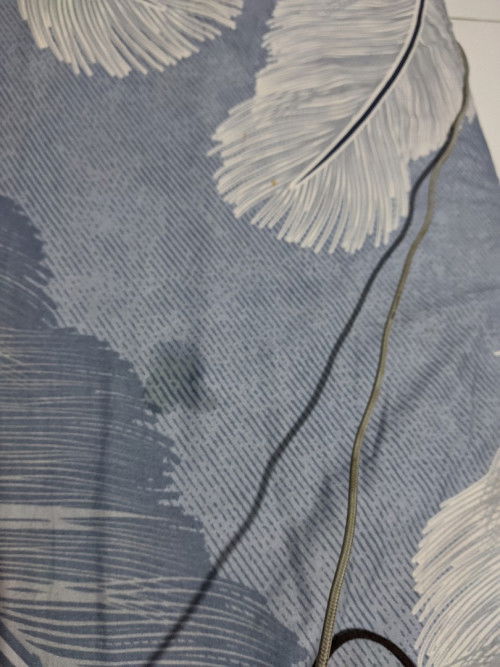 Tanya seputar keputihan