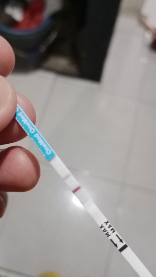 ini hamil pa tidak ya