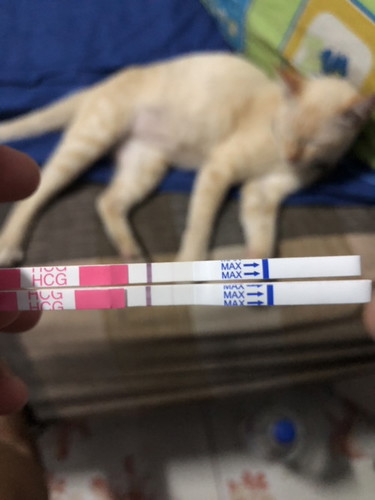 สอบถามพี่ๆค่ะ