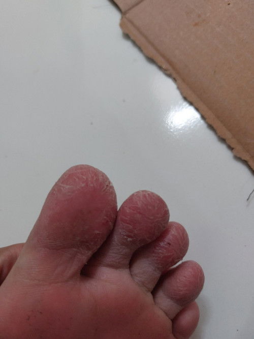 Mohon maaf bunda² Keluar dari pembahasan anak