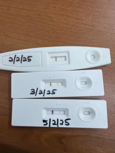 Am I pregnant ?