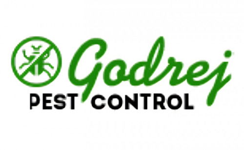 Cockroach Pest Control Service in Delhi