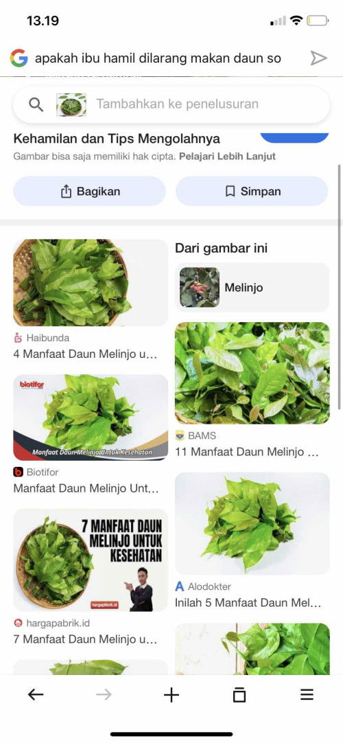 Hamil makan sop daun melinjo