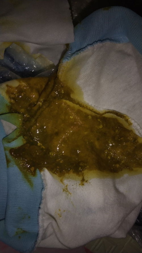 Pup bayi kuning kehijauan