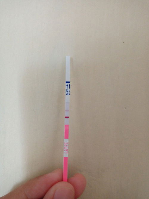 Ini positif hamil atau positif palsu ya ?