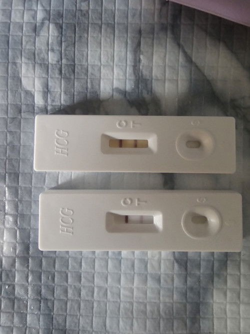 Upt malam lebih terang dari yang 1st morning Upt