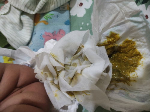 Warna bab yang berubah ubah