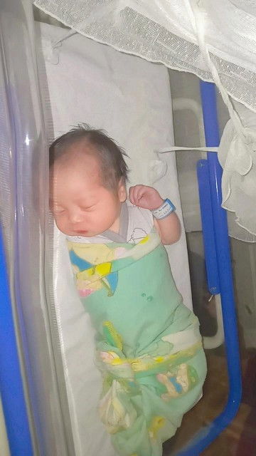 Hpl 10 februari 2025