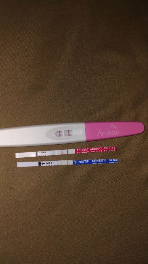 Hallo bunda² 🤰🥰, usia aku bru 4 minggu bun enaknya usg kapan yaa ?