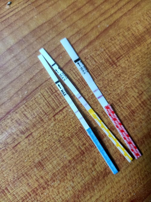 Kapan harus kedokter ya?