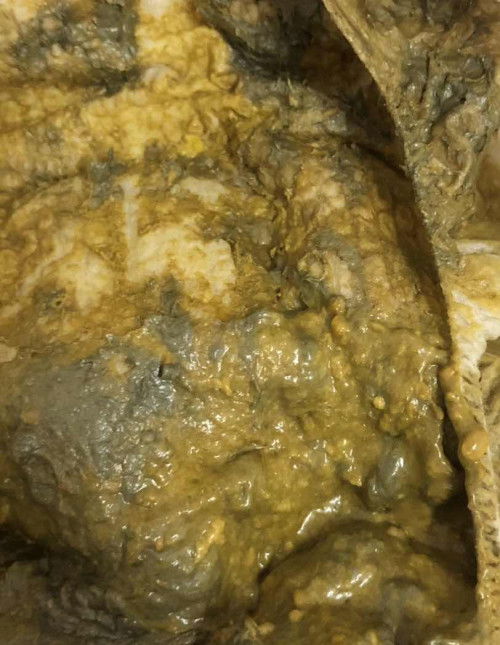 สอบถามหน่อยค่ะ