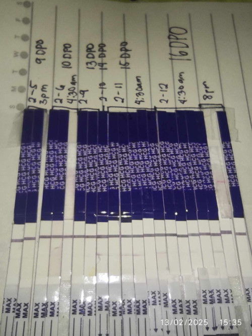 AASA BA KO O GANITO LANG TALAGA PT NA ACCUFAST