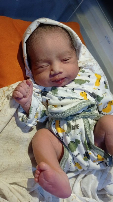 Alhamdulillah hpl 7 feb lahir 3 feb. Ketuban hijau krn demam saat hamil...