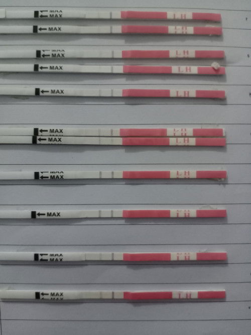 Bagaimana cara memeriksa tes ovulasi lini kedua?