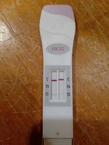 Early pregnancy