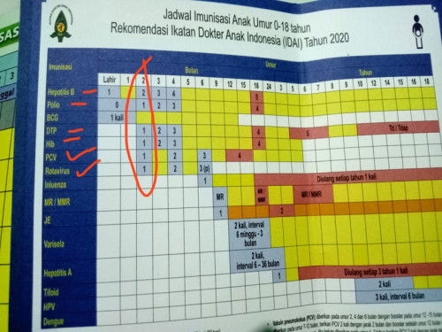 Imunisasi/Vaksinasi usia 2 bulan apa saja?