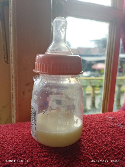 Pejuang asi