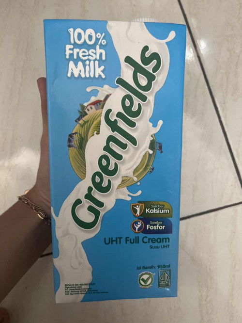 Susu pengganti susu ibu hamil