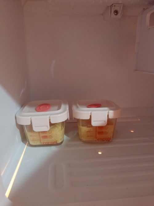 Berapa lama mpasi bertahan dalam freezer