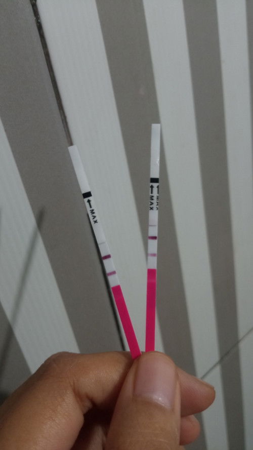 Perlukah test ulang?