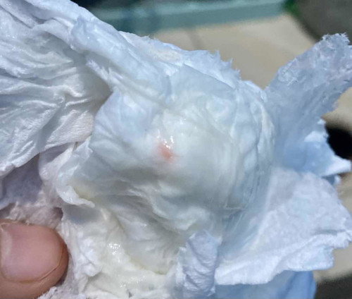 Numpang tanya bunda 🙏🏻