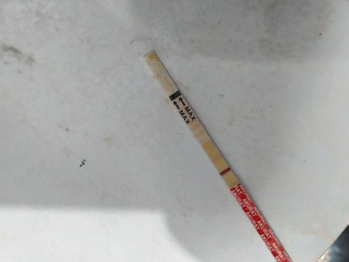 mau nnya ini aku kan belum telat haid nnti tgl 1 Bru telat haid, tadi aku tespek trus garis 2samar?