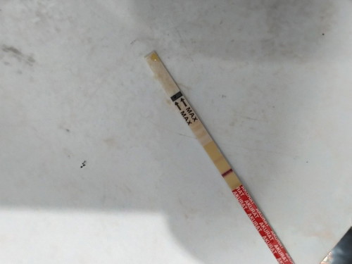 mau nnya ini aku kan belum telat haid nnti tgl 1 Bru telat haid, tadi aku tespek trus garis 2samar?
