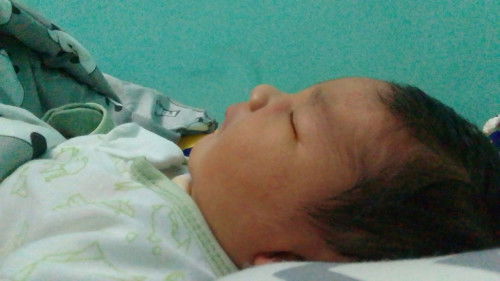 Hpl 5maret launching 1maret..