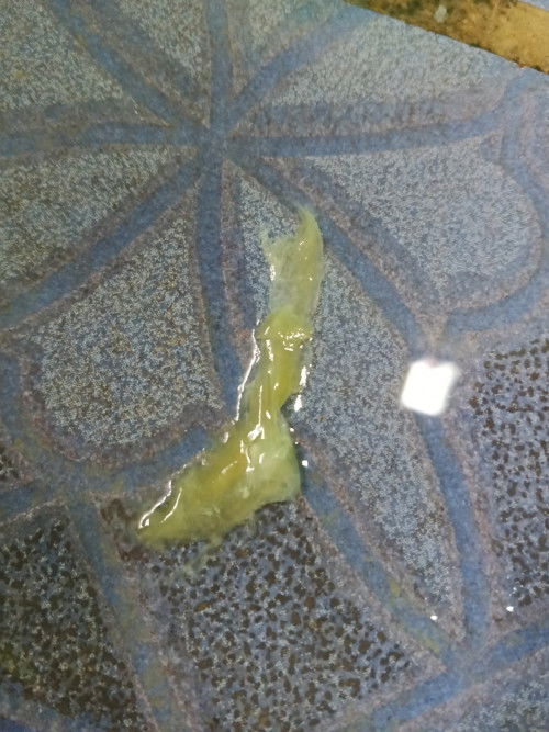 Keluar lendir, HPL 7 maret