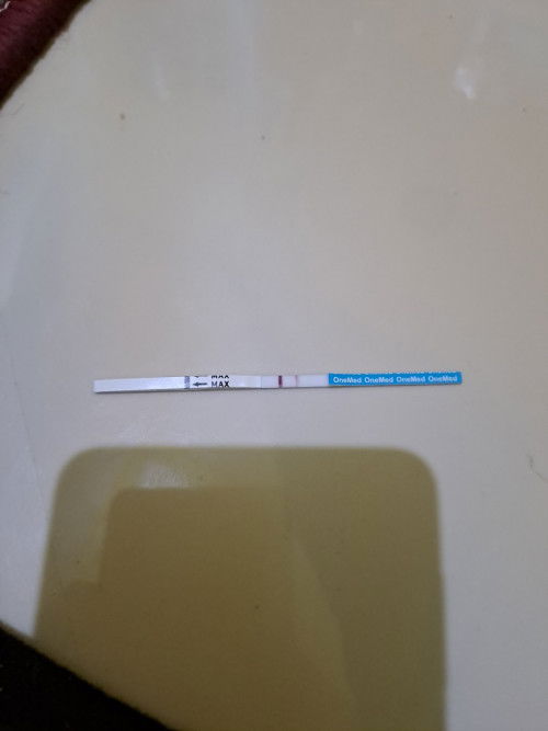 Ini hamil atau enggak