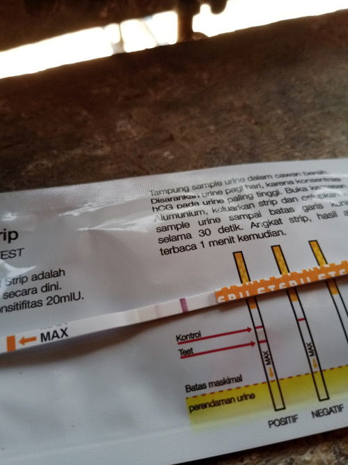 Hamil atau enggak