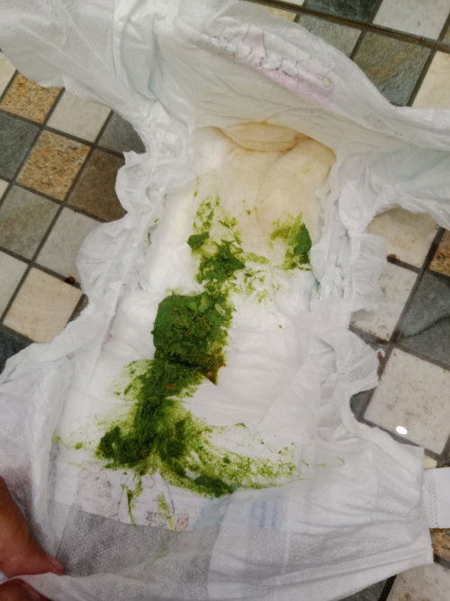 Pup anak 1 tahun hijau