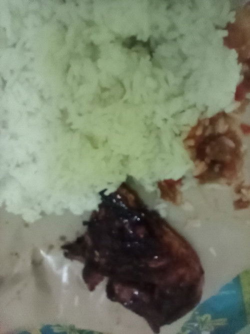Bunda bumil boleh gak makan ayam bakar? Jam 1 malam lapar banget paksu malah salah beli makanan🥲