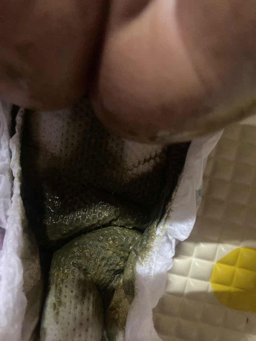 Susu lactogen step 1