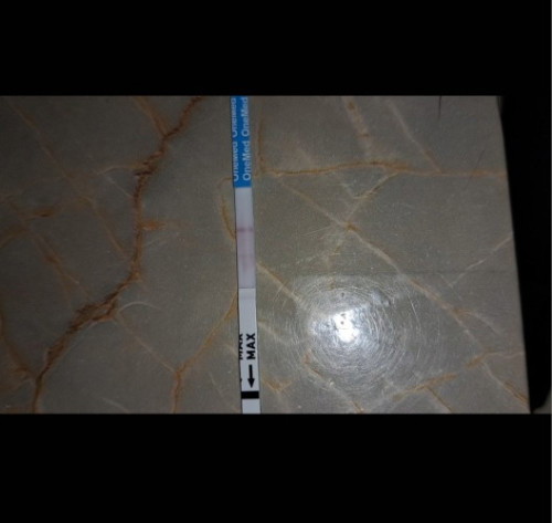 Post reply image