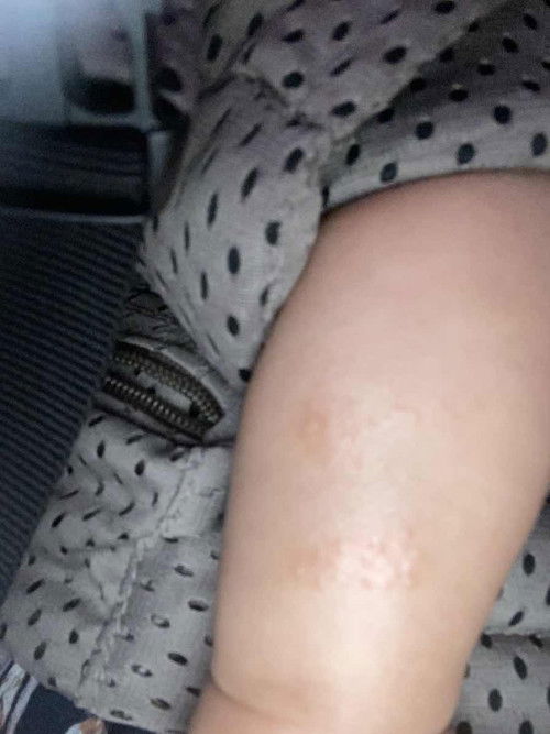 Bun tolong bantu jawab