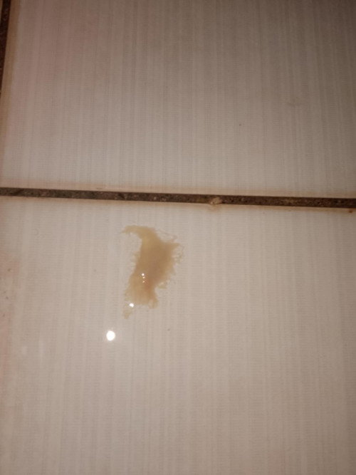 Mocus plug at 38 weeks and 5days