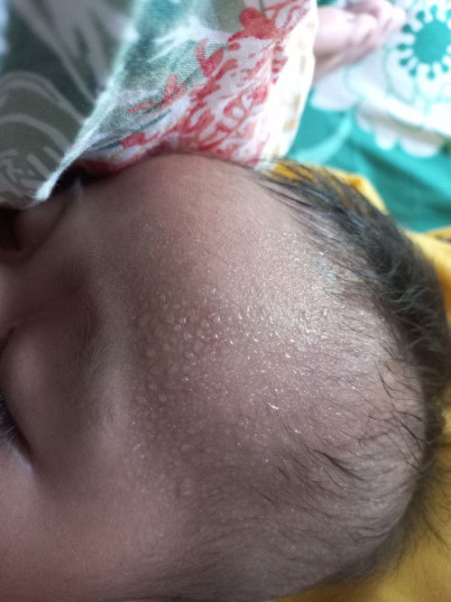Bayi mudik