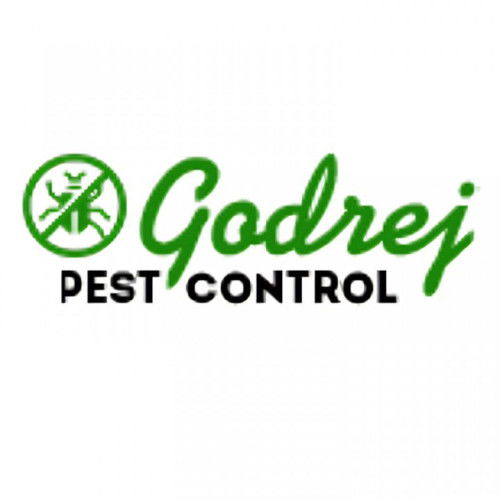 Best Pest Control Services in Gurgaon