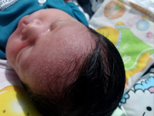 Newborn 6 hari...