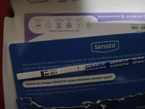 Bun itu hasilnya positif gak soalnya uda 2x taspek hasil nya samar tapi pas USG hasil positif