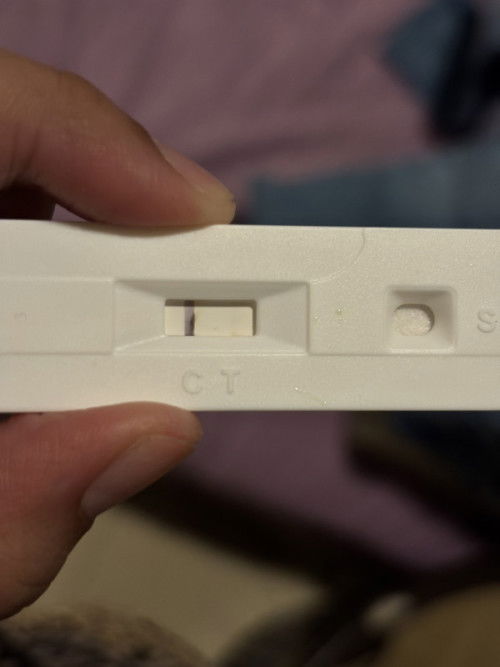 Pregnancy test