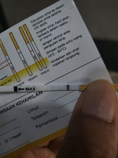 Testpack garis 2 tapi samar banget hamil gaksi?