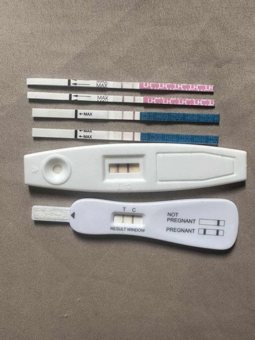 Pregnancy test