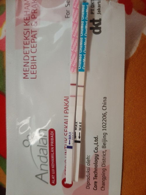 4 minggu 5 hari hpht 16 maret 2025