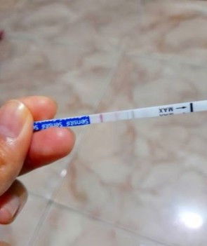 Hamil atau tidak?