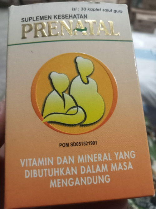 Vitamin ibu hamil TM 3