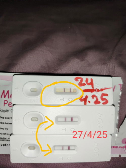 7w 4hari test pack biase pekat hari ni macam pudar satu, agak risau, saye xde rase ape² xde pendarah